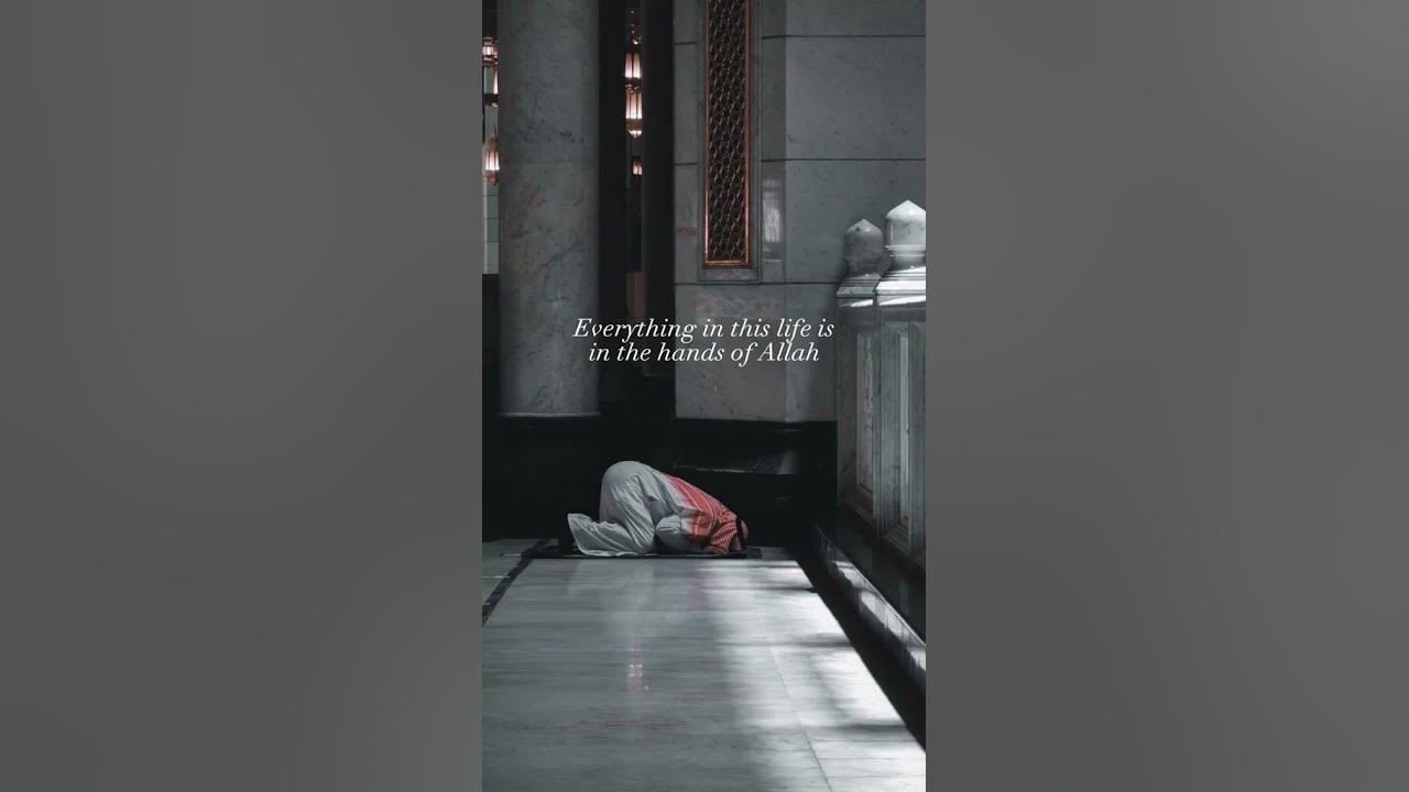 And Rely Upon Allah And Sufficient Is Allah As Disposer Of Affairs and-rely-upon-allah-and-sufficient-is-allah-as-disposer-of-affairs