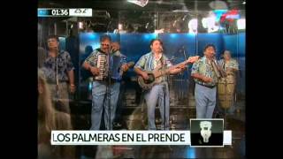 Los Palmeras en Prende y Apaga - Olvidala