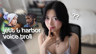 jett voice trolling with the harbor voice actor?