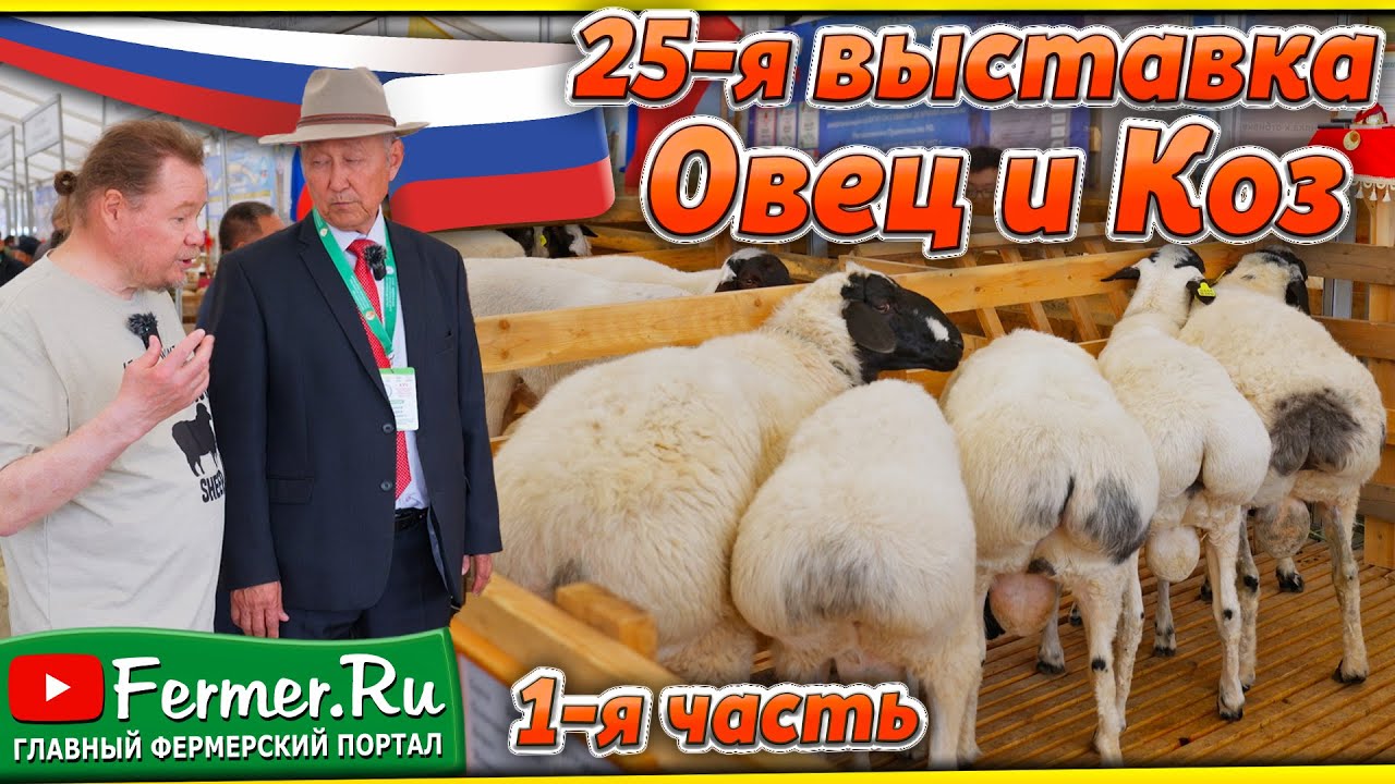 Событие года! Овцеводство России 2025. Дагестан принимает XXV выставку племенных овец и коз. 1 часть