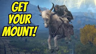 Elden Ring Where to Get Mount - Torrent the Spectral Steed