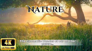 The cinematic wonder of our mother nature. #travel #nature #cinematic #cinematicvideo