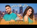            2026 راي شرقي هبال