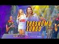 Tresnomu lungo  cover   dini kurnia feat yoga kendang  new dhesta music  live sarongan