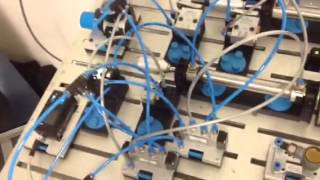 Festo new hire training