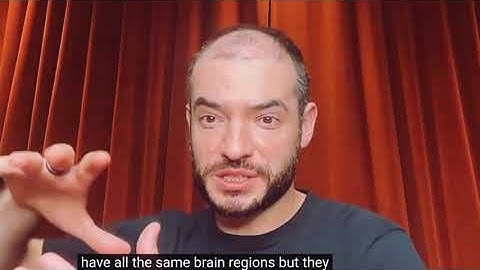 Ilya Sutskever on Why AI Mirrors the Human Brain