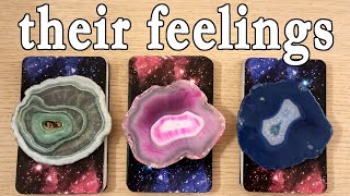 HOW ARE THEY FEELING ABOUT YOU RIGHT NOW! PICK A CARD TIMELESS TAROT READING