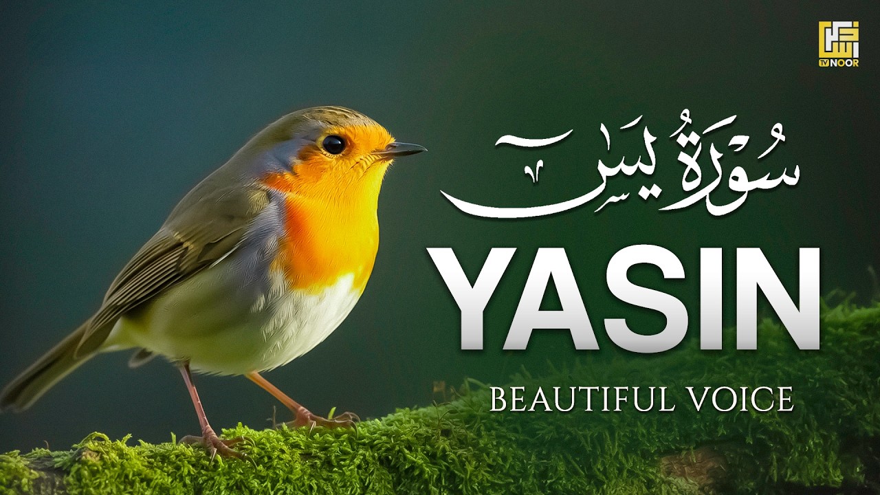 Surah Yaseen سورة يس | Ultimate Relaxing Quran for Soul Peace & Deep Sleep #surahyaseentilawat