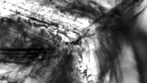 Twin boundary rupturing