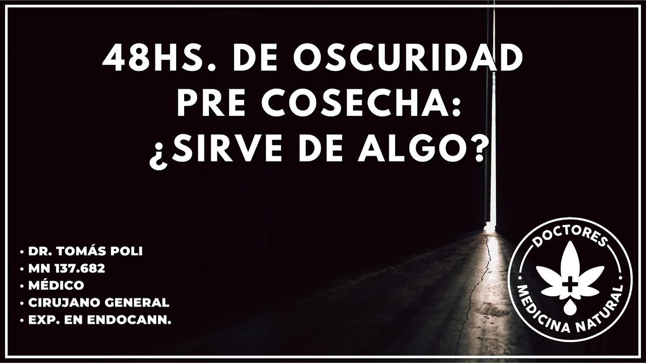 48hs de oscuridad pre cosecha ¿sirve de algo? (Dr. Tomás Poli)