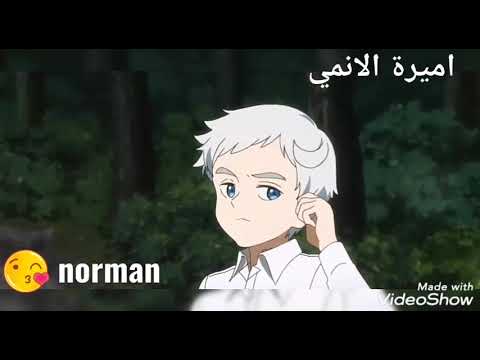 نورمان Norman من أنمي Neverland نيفرلاند