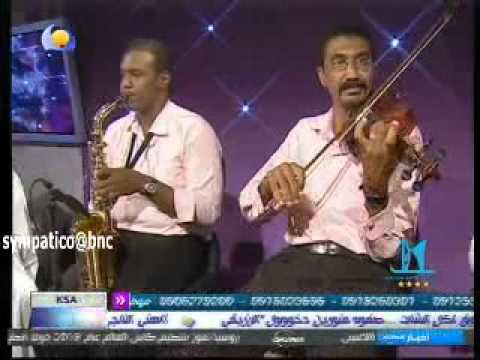 رمان موسى بعد الغياب للفنان صلاح مصطفى