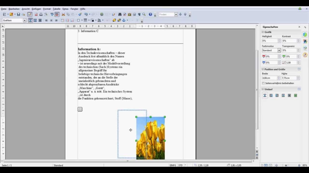 Openoffice Bild Neben Text Anordnen Youtube