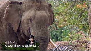 Catching the Killer Elephant - A film by Navin M. Raheja