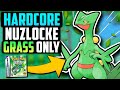 Can i beat a pokmon emerald hardcore nuzlocke with only grass types pokmon challenge