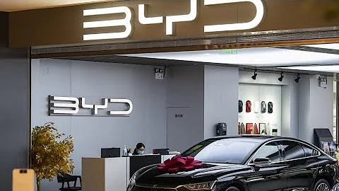 BYD Sales Hit Fresh Record - DayDayNews