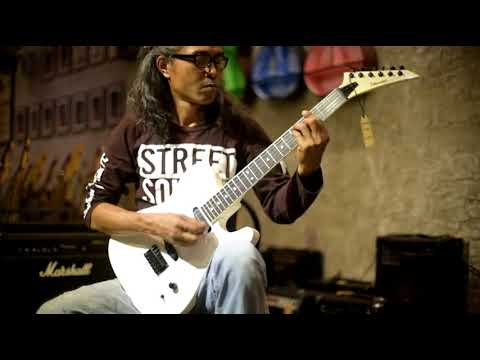 FERNANDES TE 75BT - YouTube