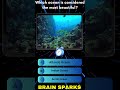 Test your brain knowledge #quiz #quotes #trivia #shorts