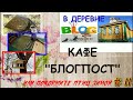 Накормите птиц зимой или кафе &quot;Блогпост&quot;