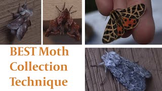 Ultimate Moth Collection Technique