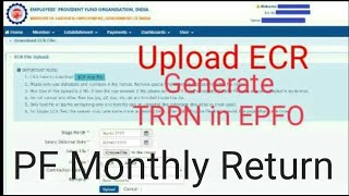 How to file ECR / return in EPFO /TRRN