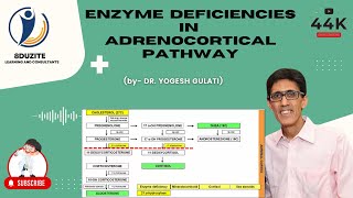 Enzyme Deficiencies In Adrenocortical Pathway Congenital Adrenal Hyperplasia