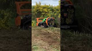 IMG 3139
