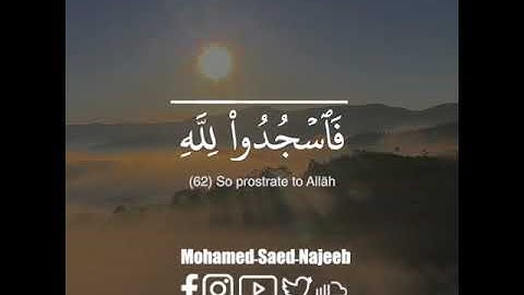 فاسجدوا لله واعبدوا | سورة النجم