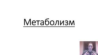 Обмен веществ (метаболизм). Энергетический и пластический обмен. Обмен веществ (метаболизм). Энергетический и пластический обмен.