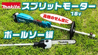 マキタ　スプリットモーターポールソーで枝払い　MUX18DZ【makita】