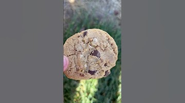 Taste test of Trader Joe