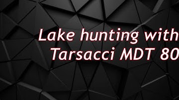 2 Gold Rings w the Tarsacci MDT 8000