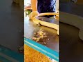 advanced machine for smoothing wood #shorts
