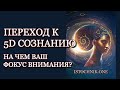 На чём ваш фокус внимания | Переход к 5D Сознанию