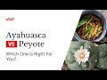 Ayahuasca vs Peyote: Which one is right for you?