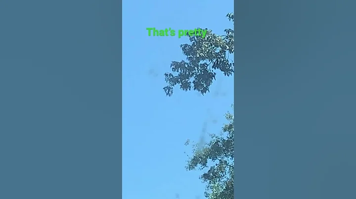 Love the sky