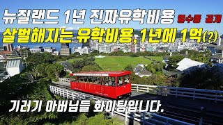 EP.6 뉴질랜드 1년 진짜 유학비용, 영수증 깝니다, 갈수록 살벌해지는 유학비용, 1년에 1억(?), 기러기아빠님들 같이 힘내시죠