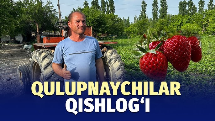 Qul bekasining tuflisini yalayotgan video Jinsiy istak virusi, 1-qism