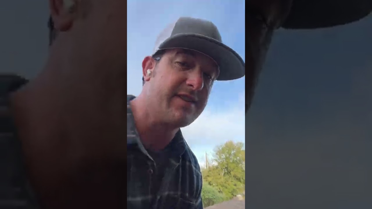 Roof damage from tree limbs 