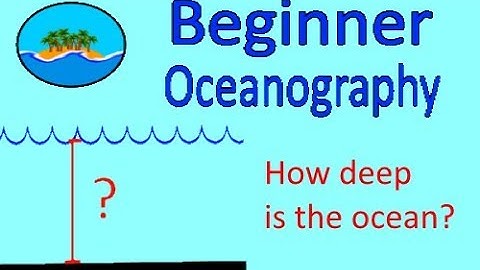 How deep is the ocean? Bonus ocean zone explanation! BEGINNER OCEANOGRAPHY