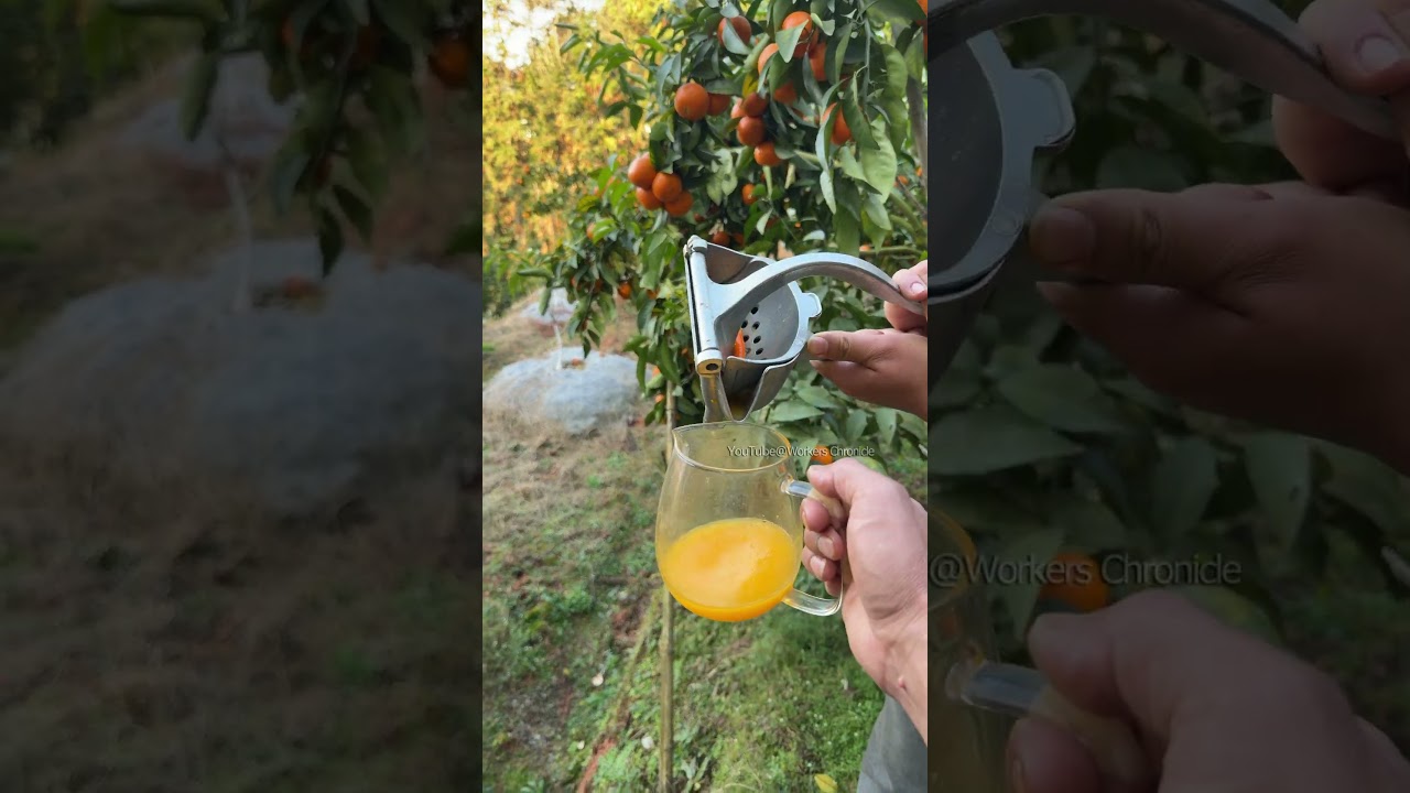 Have you ever had juice this fresh