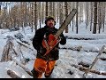 Bucking Logs to Length for the Sawmill