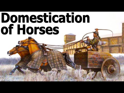 The Truth of Horse Evolution - Part 2