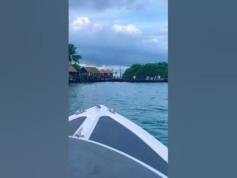 Boat Trip to Flamingo Island - YouTube