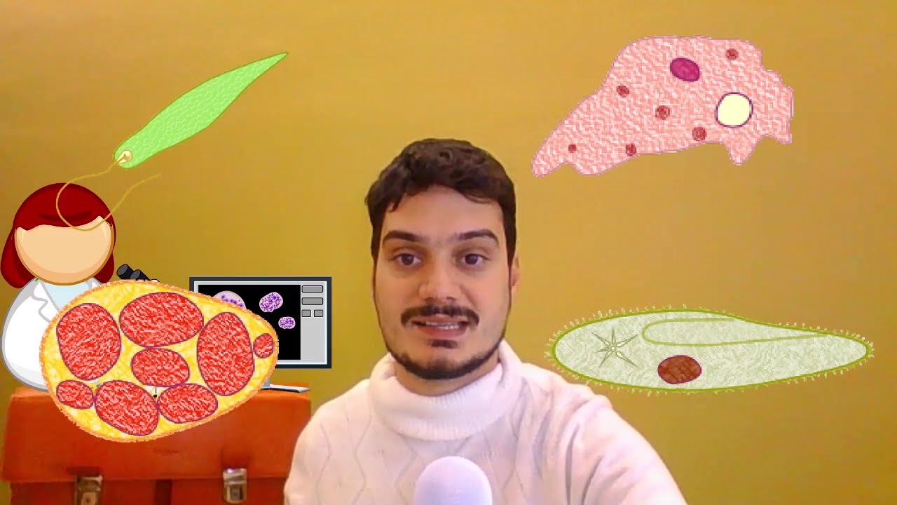 Le Monere e i Protisti - Le scienze spiegate FACILI