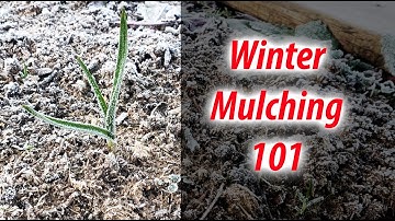 Winter Mulching Your Garden - How and Why To Mulch Your Garden In The Winter! (2020)