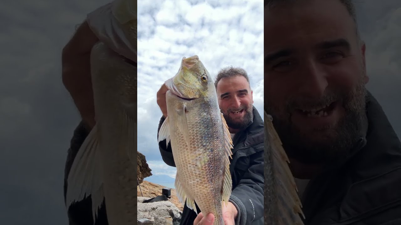 Συναγρίδα 2kg στην Αττική #ψαρεμα #fishing #spinning