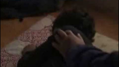 「野良犬たち」メイン予告日本語字幕