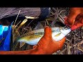 Most amazing hook fishing tatkini fish hook fishings fish fishinghook hookfishing