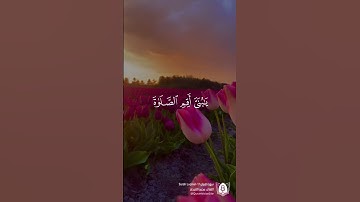 ﴿يا بني أقم الصلاة وأمر بالمعروف وانه عن المنكر﴾ [لقمان: ١٧]🎙| تلاوة بصوت: محمد اللحيدان‎